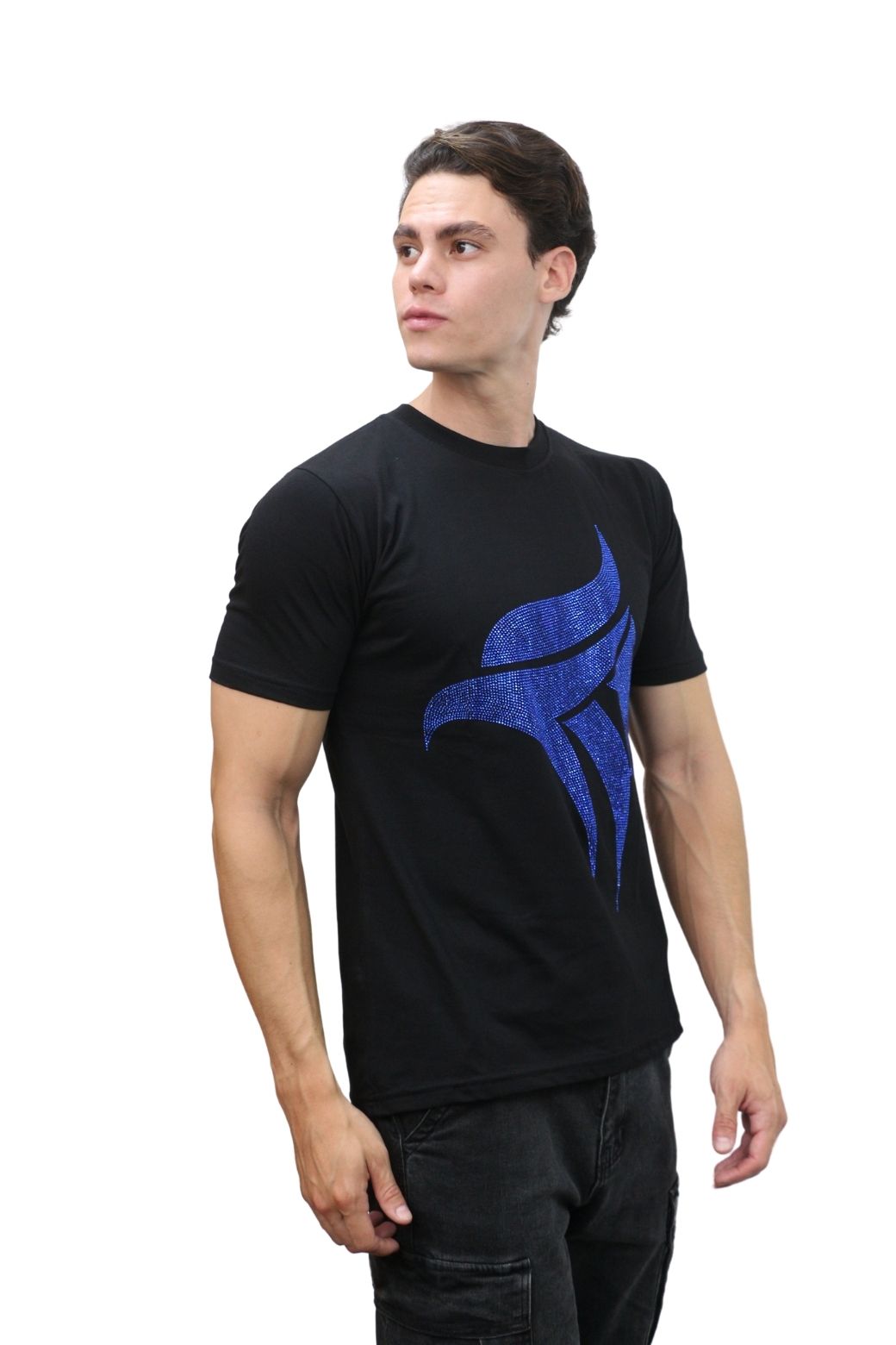 Headz Flex T-Shirt Round Neck EAGLE Stone