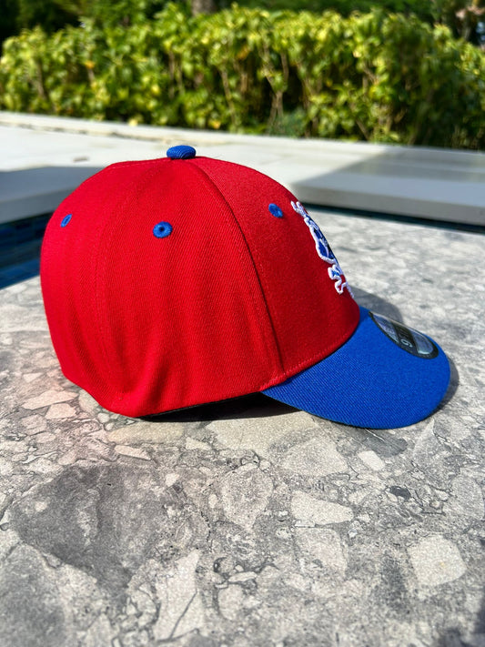 Puerto Rico Coqui Flag hat strech Fit Curved Brim Size 7