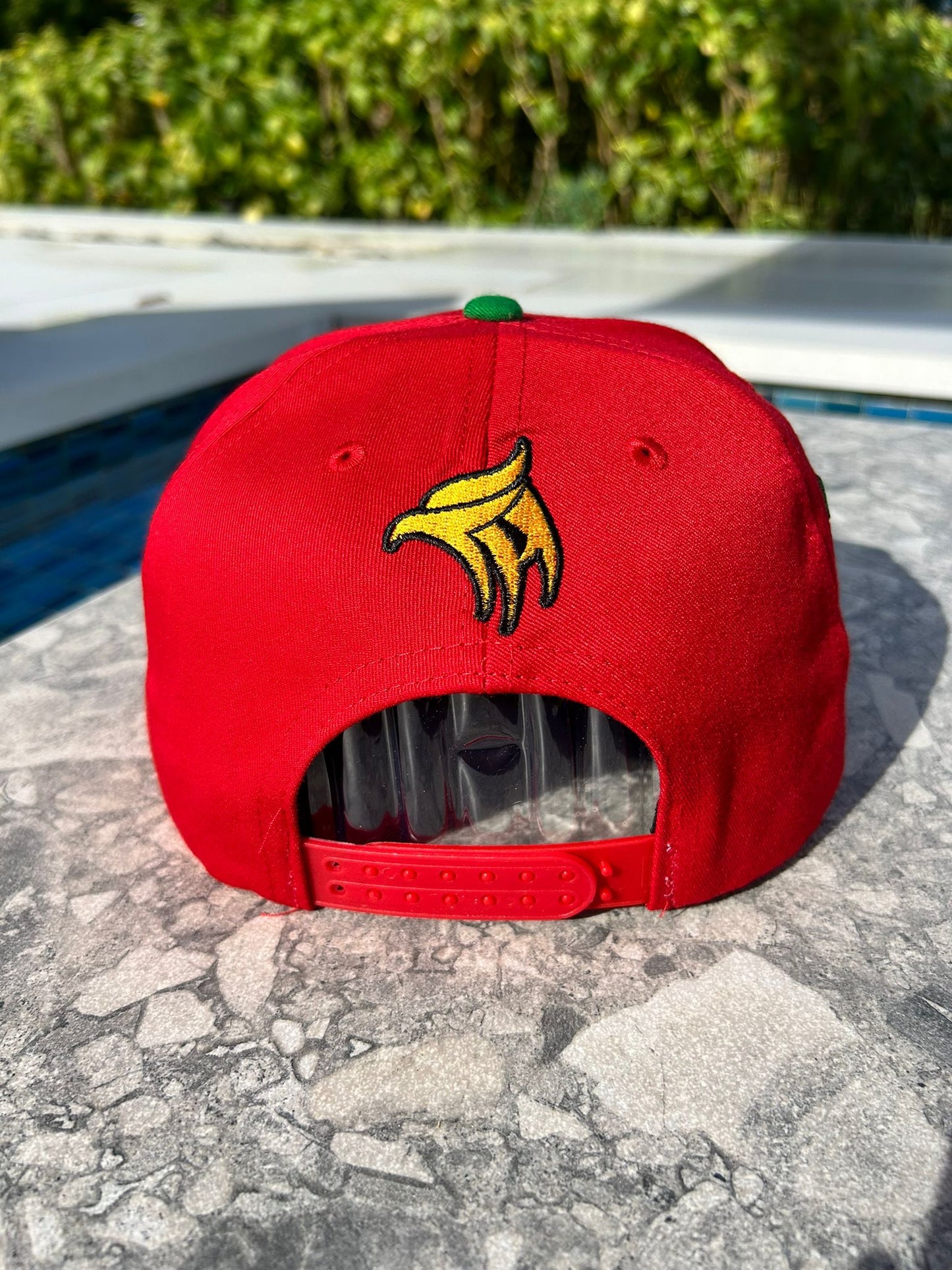 Headz Flex Mexico Eagle Cap – 5D Embroidered Snapback with Maya Symbol Brim