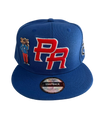 Pinned Metallic Sapo Concho Puerto Rico Snapback Hat: Embroidered Black Coqui Patch