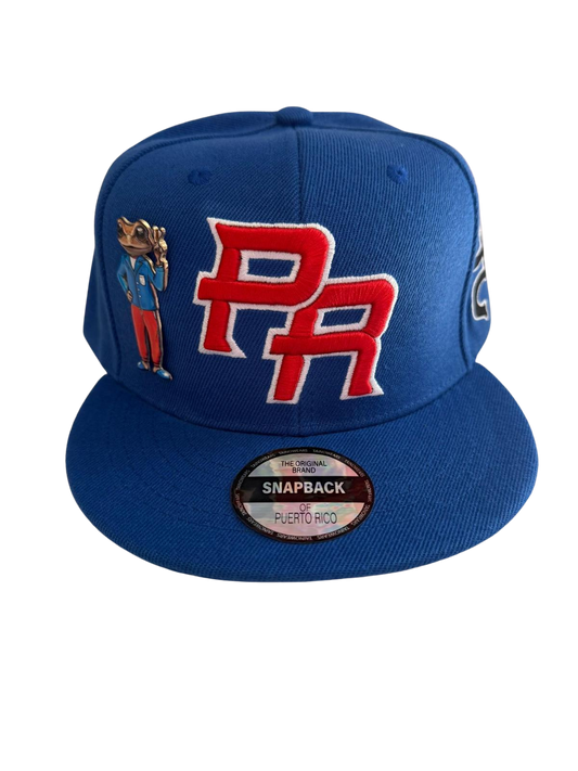Pinned Metallic Sapo Concho Puerto Rico Snapback Hat: Embroidered Black Coqui Patch