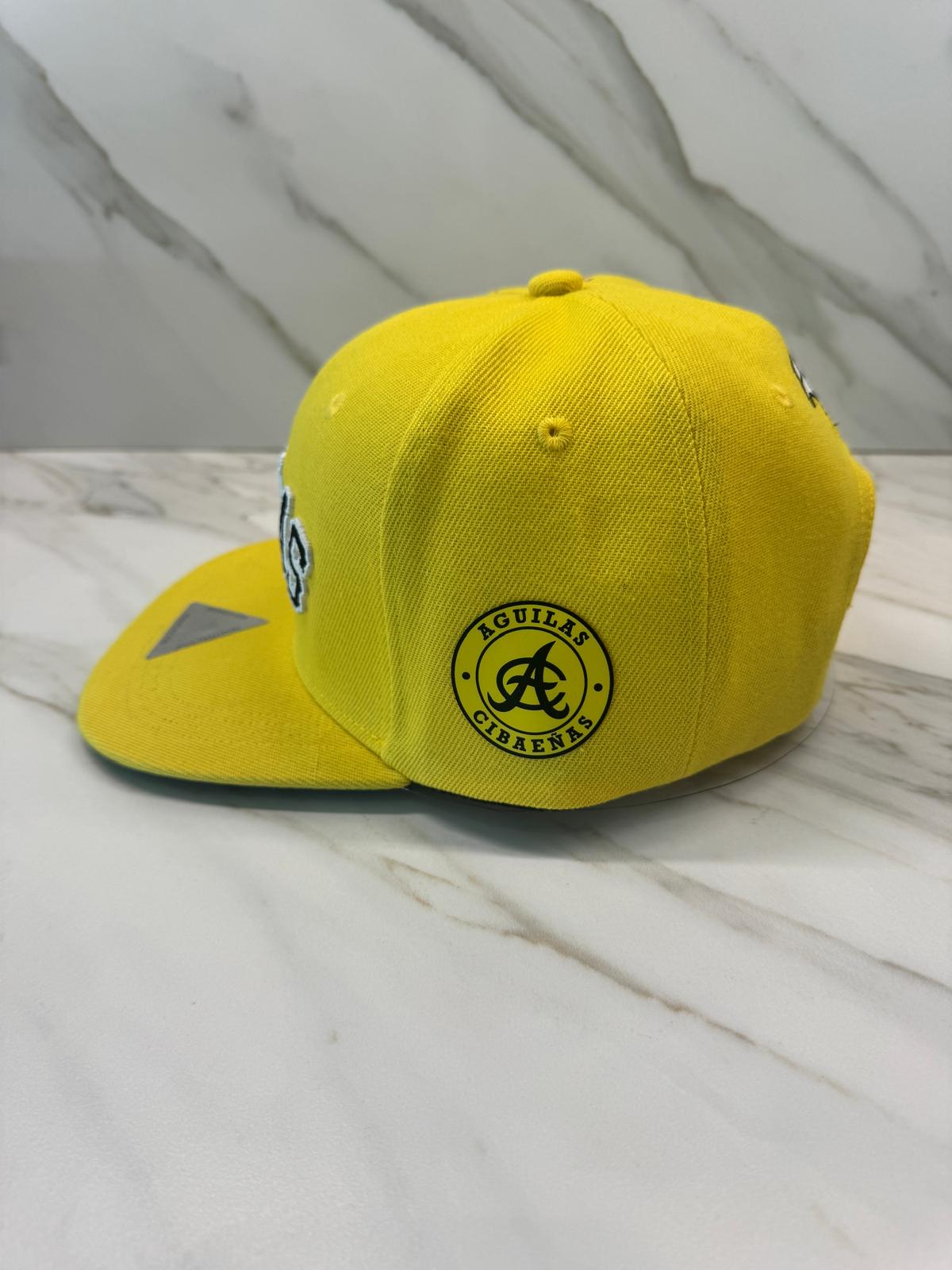 DR Eagle Yellow Snapback Hat – Embroidered Flat Brim Cap | HeadzFlex®