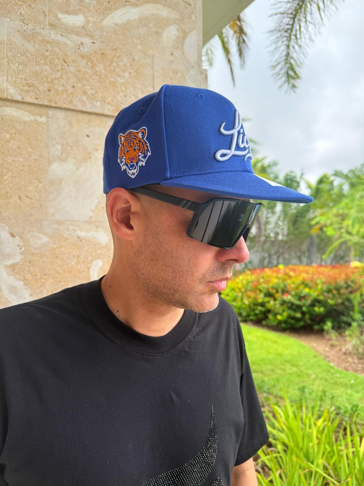 DR Blue Snapback Hat – Premium Embroidered Flat Brim Cap | HeadzFlex®