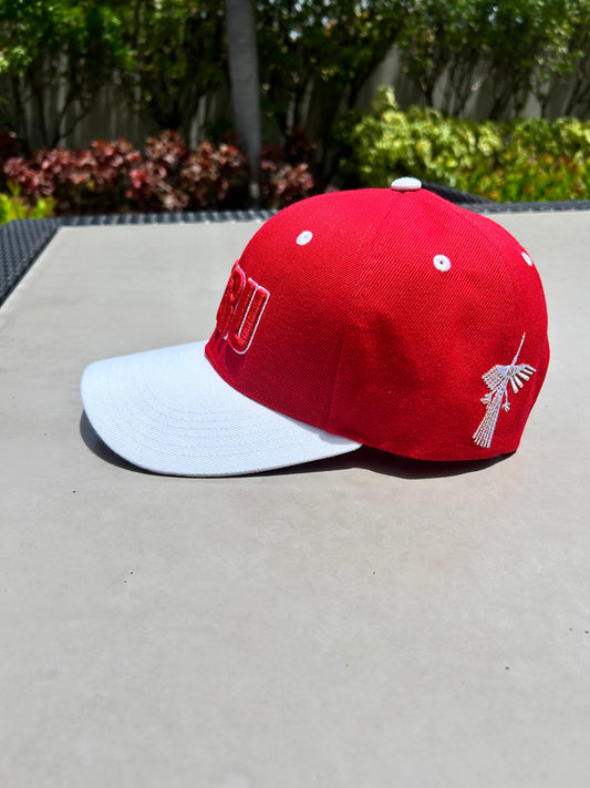 HEADZ FLEX Peru Cap Embroidered Flatbill Snapback Baseball Cap Embroidery Word Peru, N