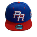 Blue and red cap with a logo on a wooden floor with a plant in the background