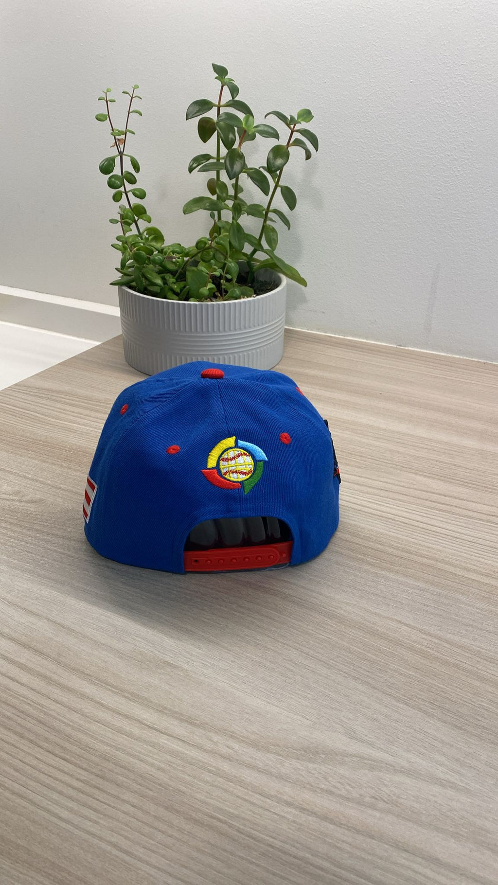 Puerto Rico PR Royal Blue & Red Snapback Hat – Raised Embroidery with Flag and Coqui Patches