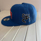 Pinned Metallic Sapo Concho Puerto Rico Snapback Hat: Embroidered Black Coqui Patch