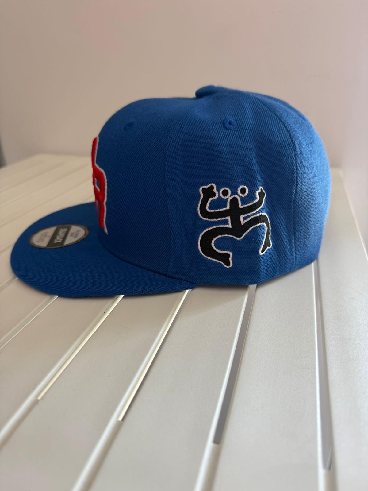 Pinned Metallic Sapo Concho Puerto Rico Snapback Hat: Embroidered Black Coqui Patch