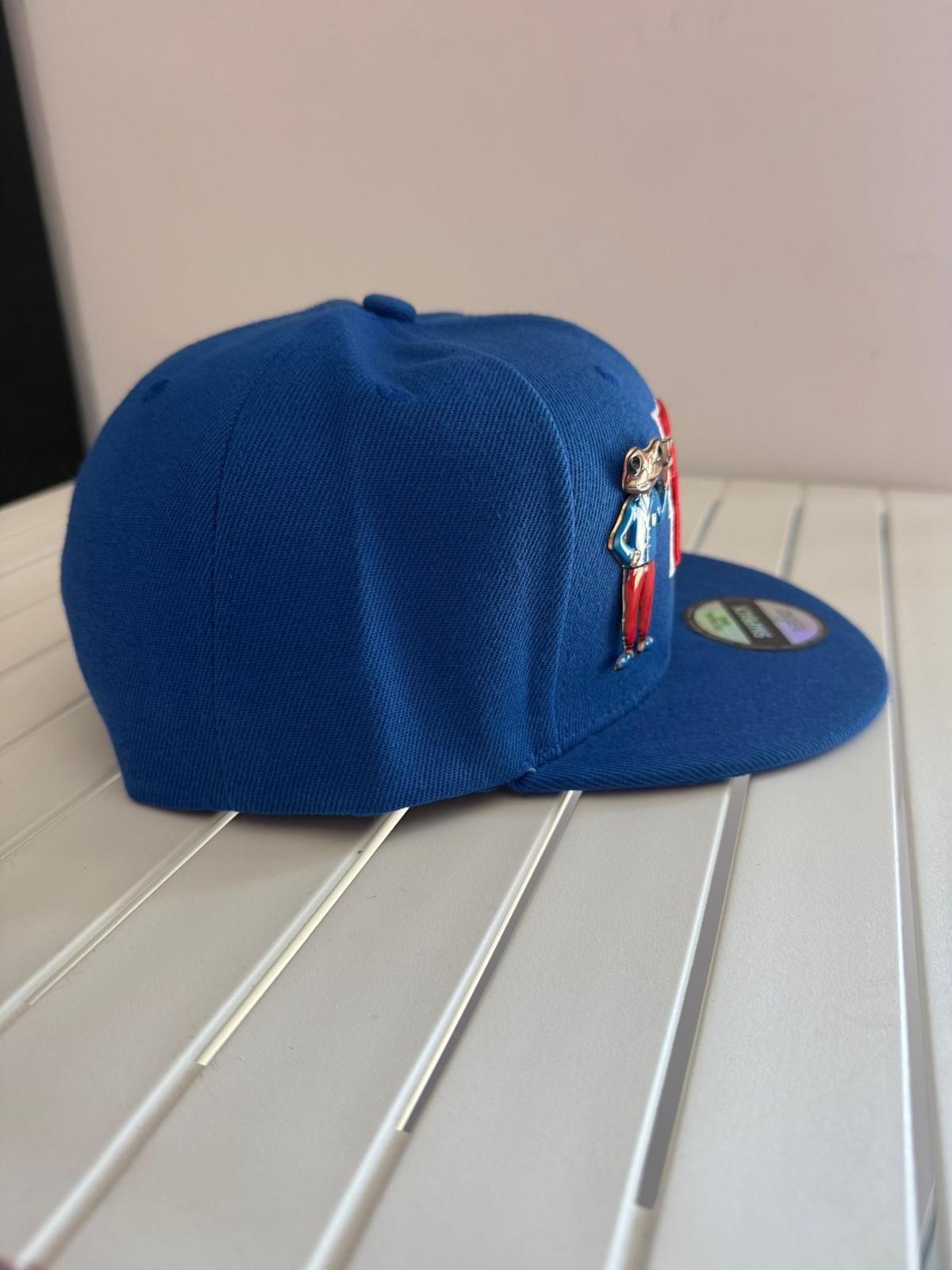 Pinned Metallic Sapo Concho Puerto Rico Snapback Hat: Embroidered Black Coqui Patch