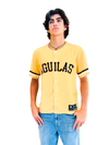 Dominican Republic  Águilas Cibaeñas  Jersey –Embroidered Baseball Jersey