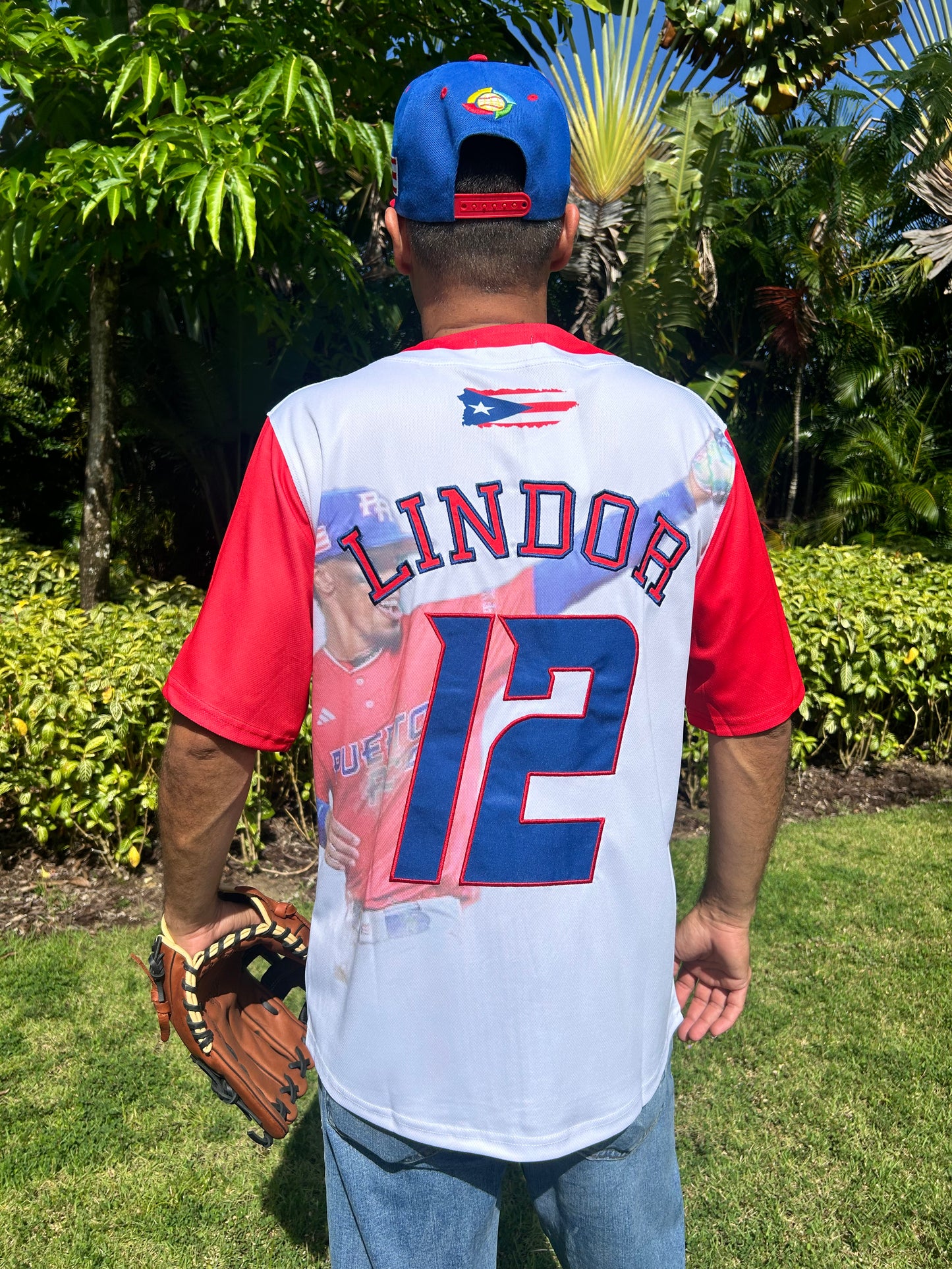 Lindor #12 Puerto Rico Baseball Jersey  Art Deco By Headz Flex